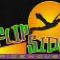 Flipside