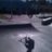 scooterfitzy